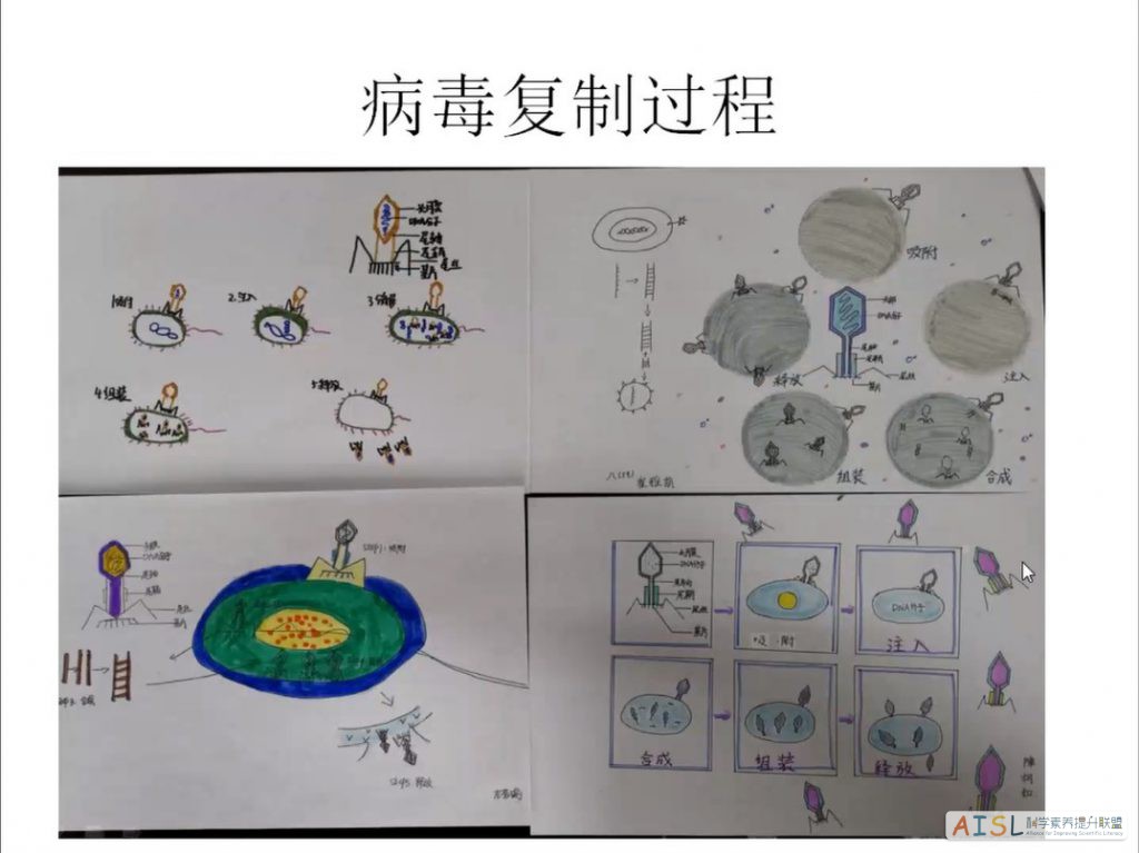 [SSI Learning] 全国初中学段研讨纪要（2021-04-14）<br>Minutes of the online meeting for SSI Learning project in middle schools (04/14/2021)插图