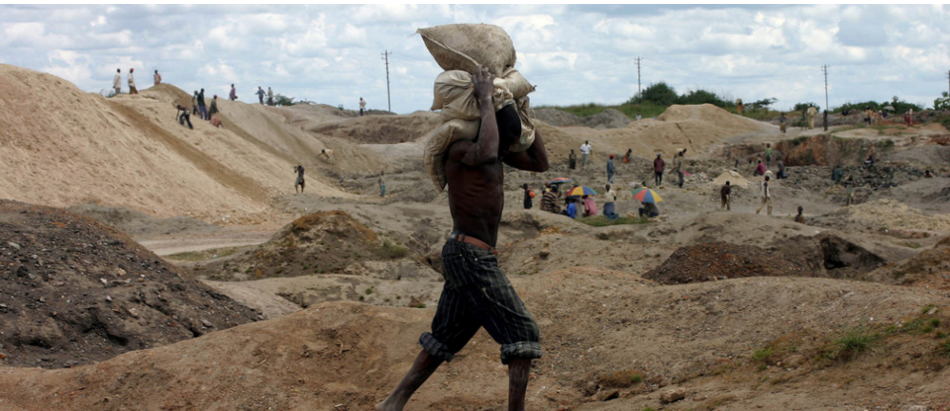 【境外专家报告】Michael Reiss:社会性科学议题与科学教育愿景插图7 【境外专家报告】Michael Reiss:社会性科学议题与科学教育愿景插图7