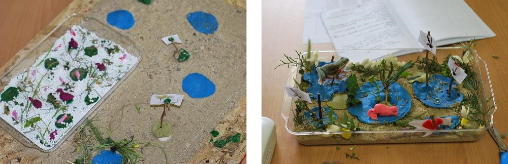 【境外专家报告】Maria Evagorou:基于社会性科学议题的教与学使科学与师生相关插图5 【境外专家报告】Maria Evagorou:基于社会性科学议题的教与学使科学与师生相关插图5