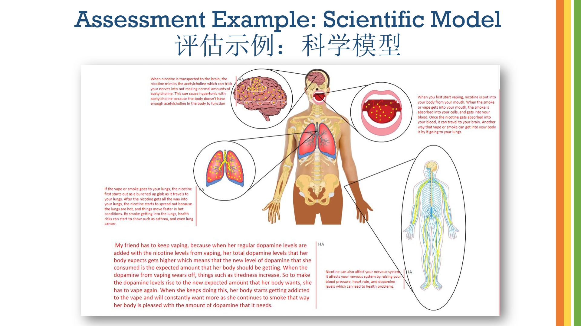 【境外专家报告】Jordan Rockett:社会性科学议题教学——议题选择、关键目标和课堂活动插图15 【境外专家报告】Jordan Rockett:社会性科学议题教学——议题选择、关键目标和课堂活动插图15