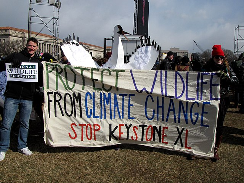 【境外专家报告】Michael Reiss:社会性科学议题与科学教育愿景插图15 【境外专家报告】Michael Reiss:社会性科学议题与科学教育愿景插图15